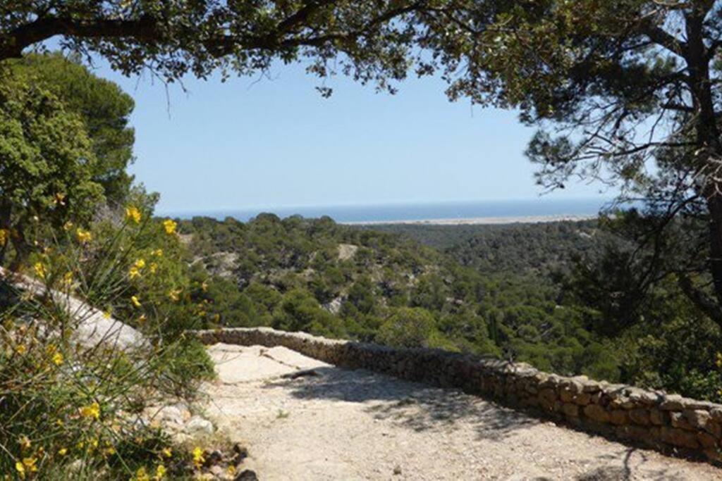 Entre Mer Et Garrigue Saint-Pierre-la-Mer  エクステリア 写真