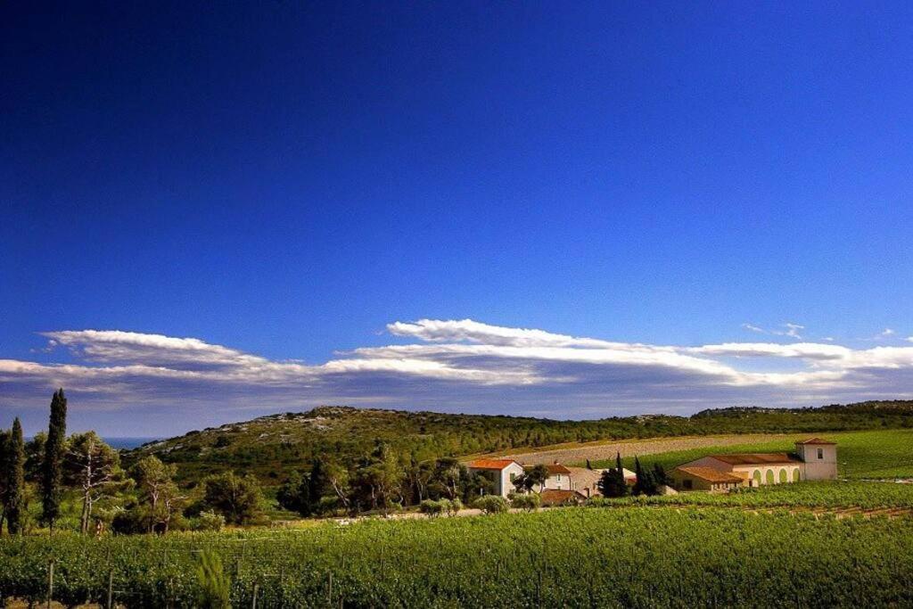Entre Mer Et Garrigue Saint-Pierre-la-Mer  エクステリア 写真