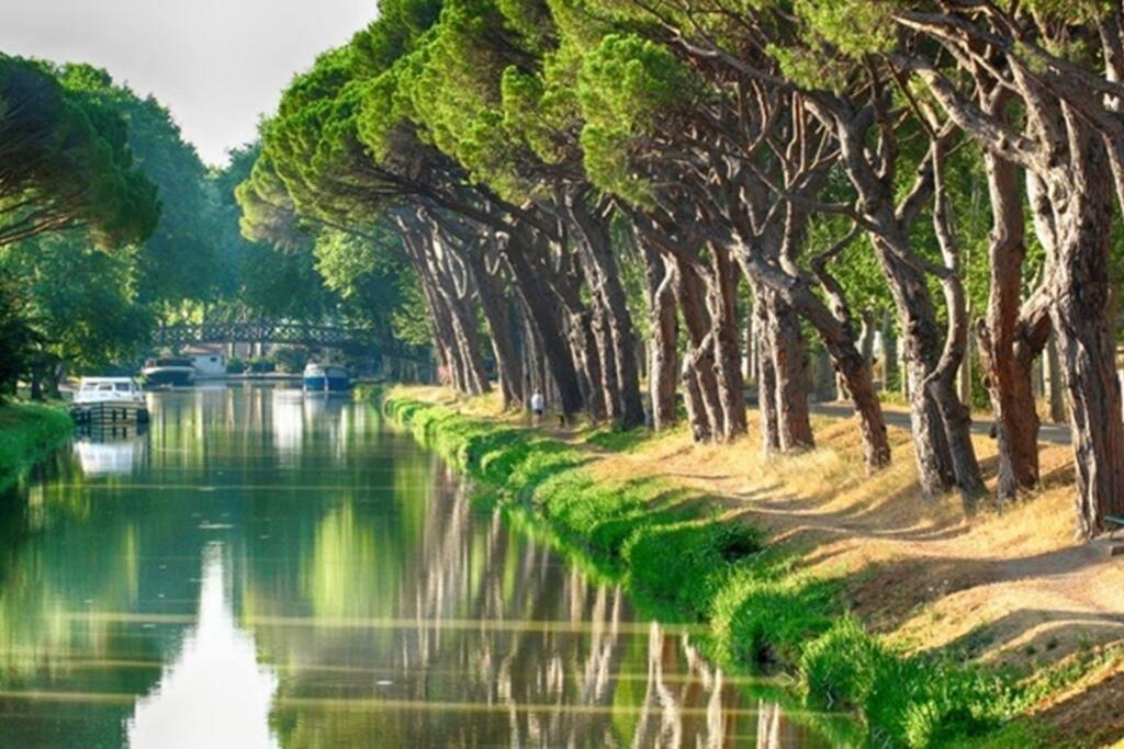 Entre Mer Et Garrigue Saint-Pierre-la-Mer  エクステリア 写真