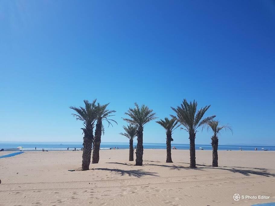Entre Mer Et Garrigue Saint-Pierre-la-Mer  エクステリア 写真