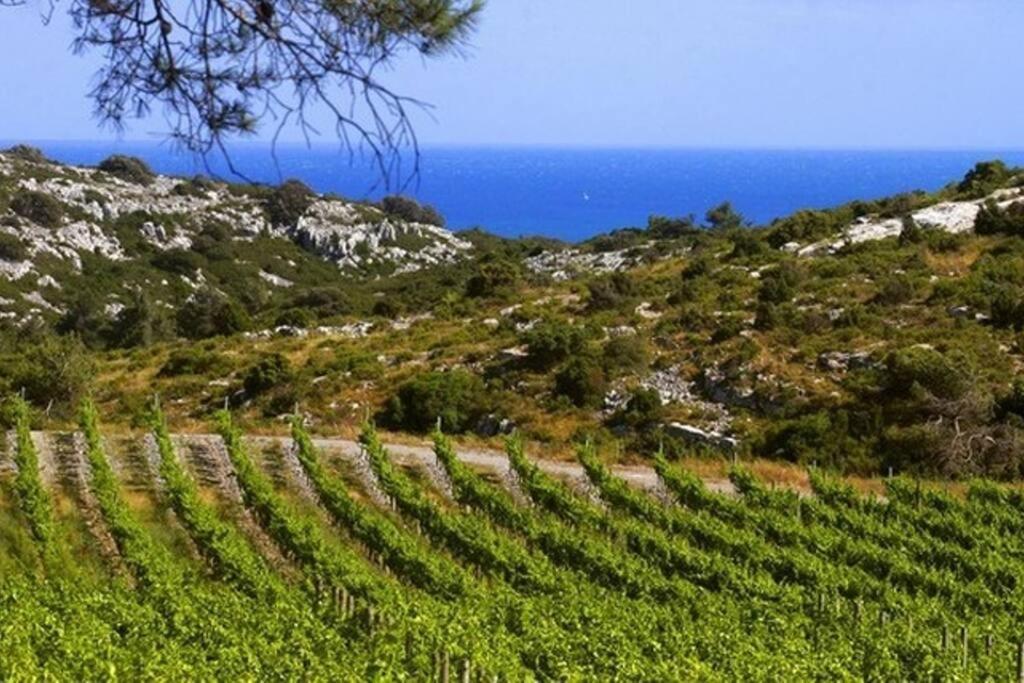 Entre Mer Et Garrigue Saint-Pierre-la-Mer  エクステリア 写真